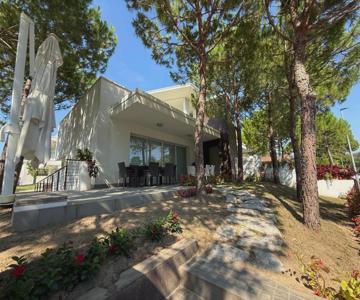 Villa Pinewood