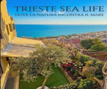 Trieste Sea Life