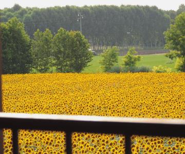 B&B I Prati Di Varmo