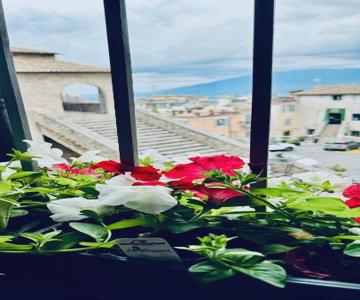 Casa Vacanza Città Dei Papi Anagni