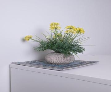 Villa Ninfa Alburnea