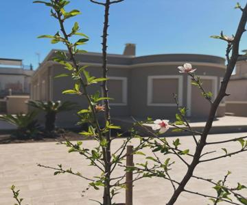 Alloggio Turistico Soffiasale