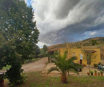 Il Poderino Di Civitavecchia