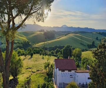 All'ombra Del Pino Alloggio Turistico