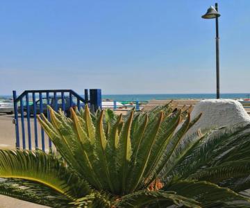 Monolocale Tirreno Studio Seafront