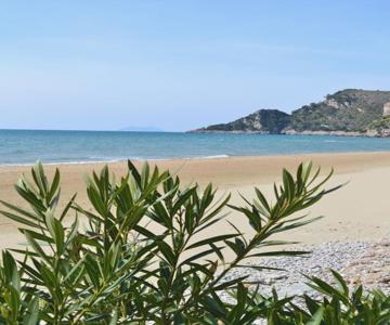 Summer House Al Mare
