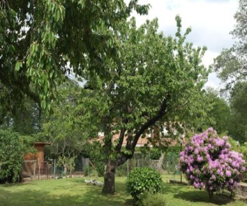 B&B Viale dei Pini
