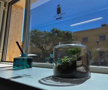 Suite & Loft Guest House