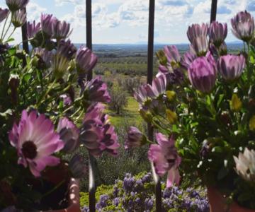 Terme E Relax Nella Campagna Viterbese
