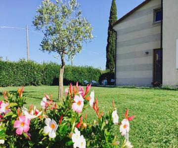 Il Montetto3...vicino A Lerici