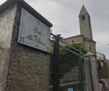 Host Alla Millenaria