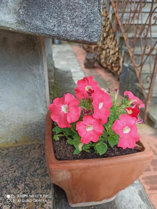 Bed & Breakfast Le Cicale E La Formica