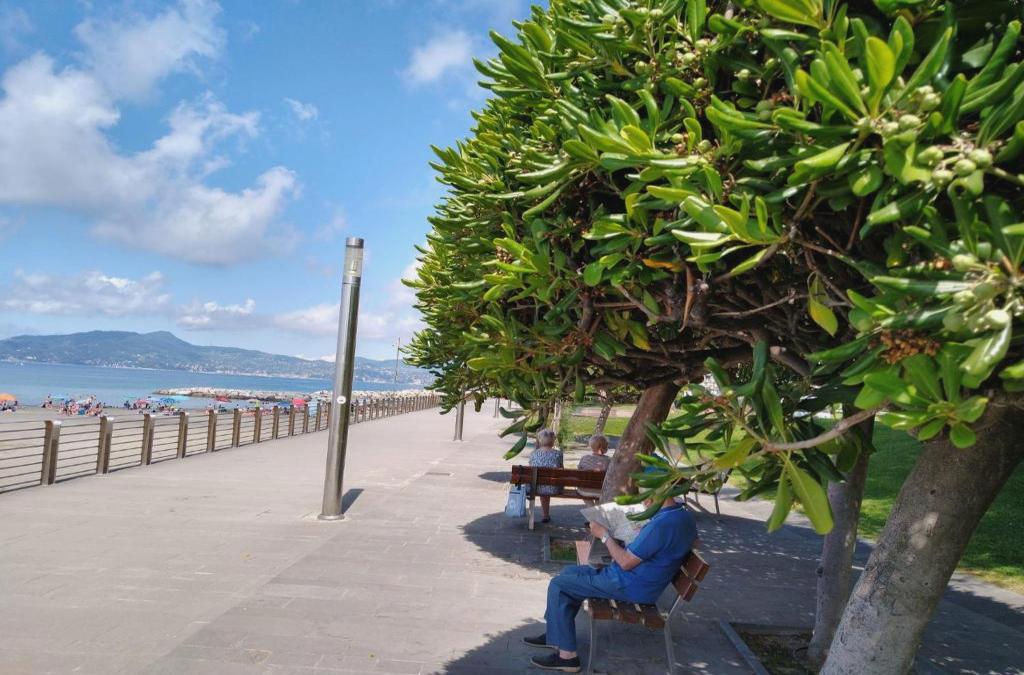 Vista Sul Carruggio, Centro Storico Di Chiavari