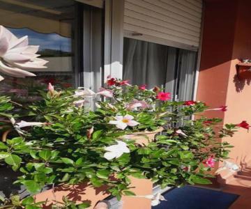 La Casa Di Teri A Chiavari