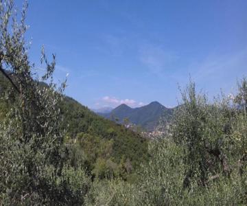 Az. Agrituristica U'spigu