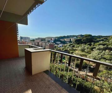 Daddy's House - Maximum Car Length Allowed 420cm