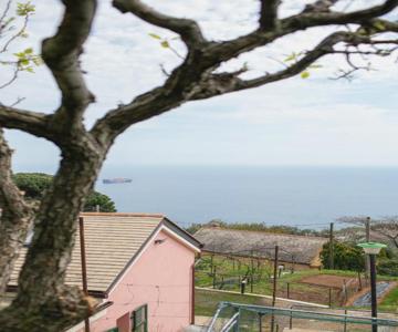 La Casa Tra Gli Ulivi