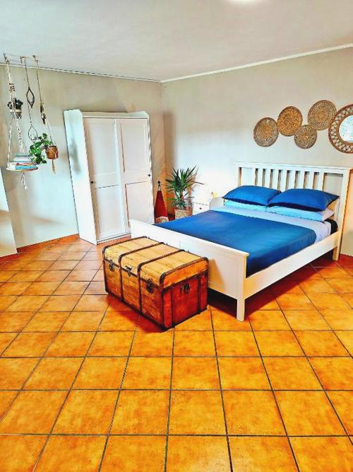 Almarea, a house between the sea and olive trees