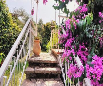Appartamento La Bouganville