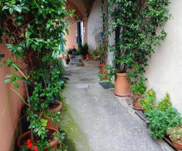 Il Nido Delle Rondini
