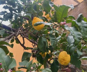Appartamento Vicino Al Mare