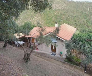 La Tana Del Berü