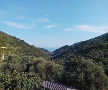 La Casetta Dei 4 Gatti
