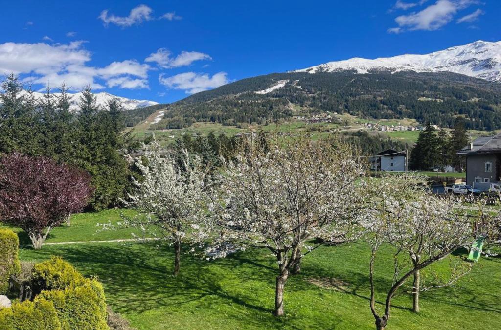 Chalet Stelle Di Neve