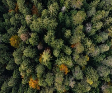 Placàt Eco Camping Nel Bosco