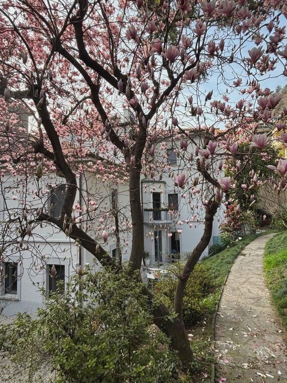 Villa Miranda Luxury Como Lake View Penthouse with Panoramic Terrace