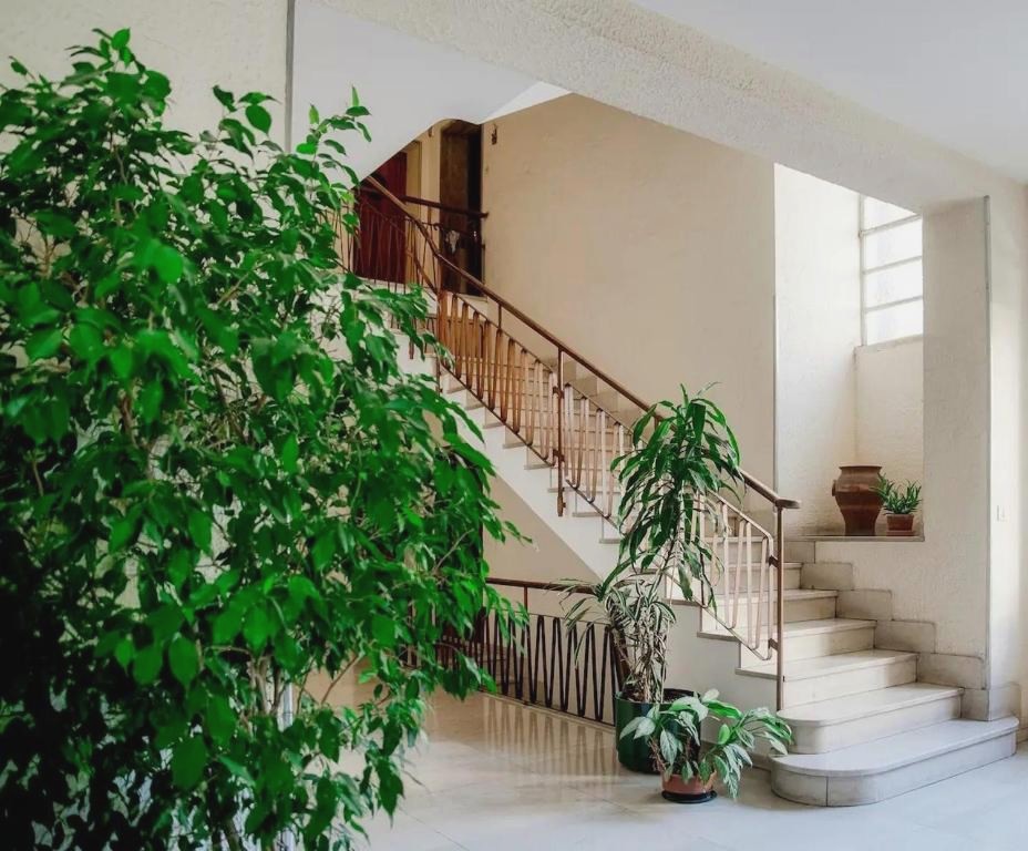 Rent in Como Apartment 1