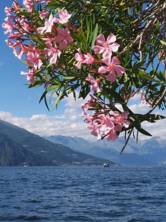 Como per Voi-Tre minuti dal lago