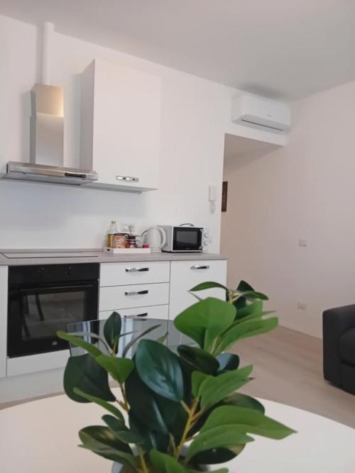 100 passi dal Lago, history apartment piazza Roma by Revenue House