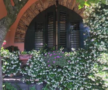 Iseo Lake Home Nature & Relax
