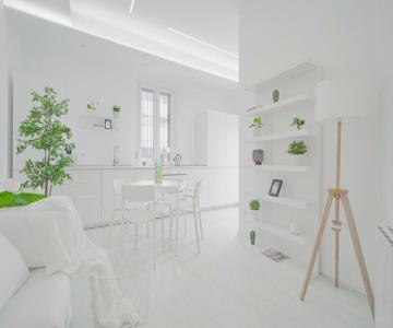 Cont36 -total White- Esclusive