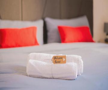 La Maison Di Grace Vicino Humanitas & Forum