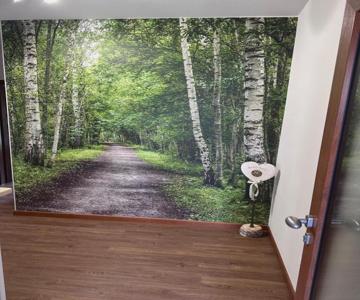 Vulcano Case Vacanza