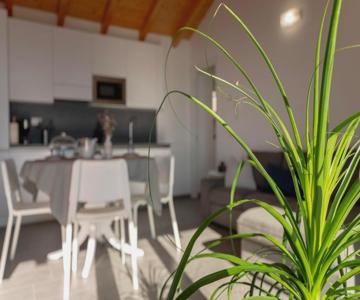 Delfina Home Mansarda