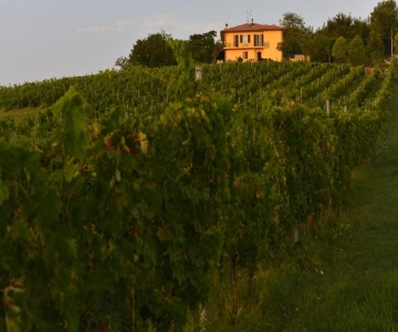 B&B Quattro Stagioni