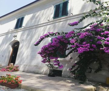 La Bouganville