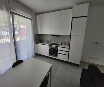 Mickey's Holiday Apartment