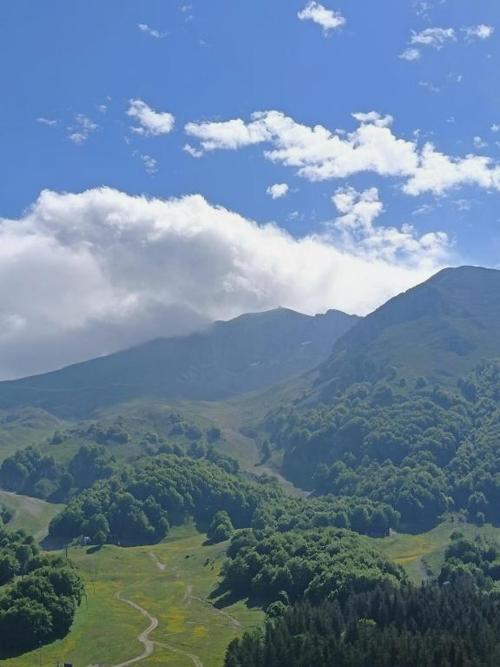 Campitello Holiday Monolocale