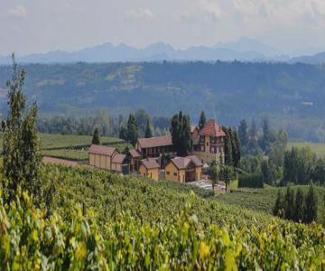 Tenuta Montebello