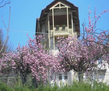 Del Nobile Apartment II