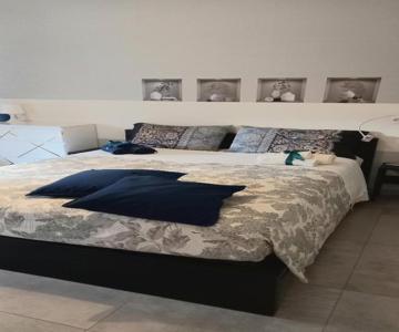 Sophie Home Torino, Nuovissima Vicino Juventus Stadium