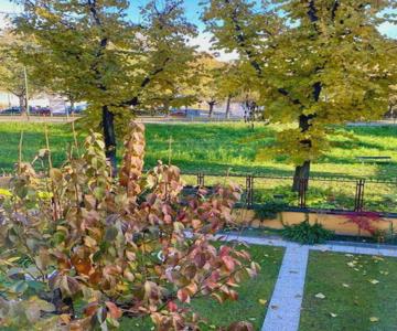 La Casetta Nel Verde In Città