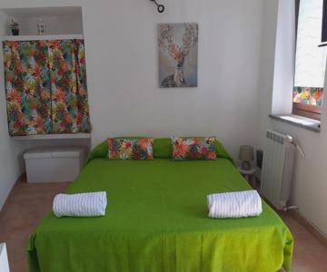 Il Cervo Reale Di Venaria