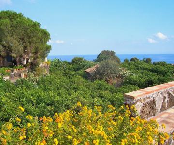Agriturismo Il Limoneto Acireale