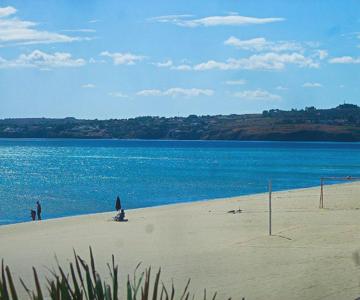 The Enlightened Turtle