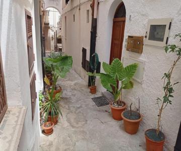 Cortile Maggiore Home